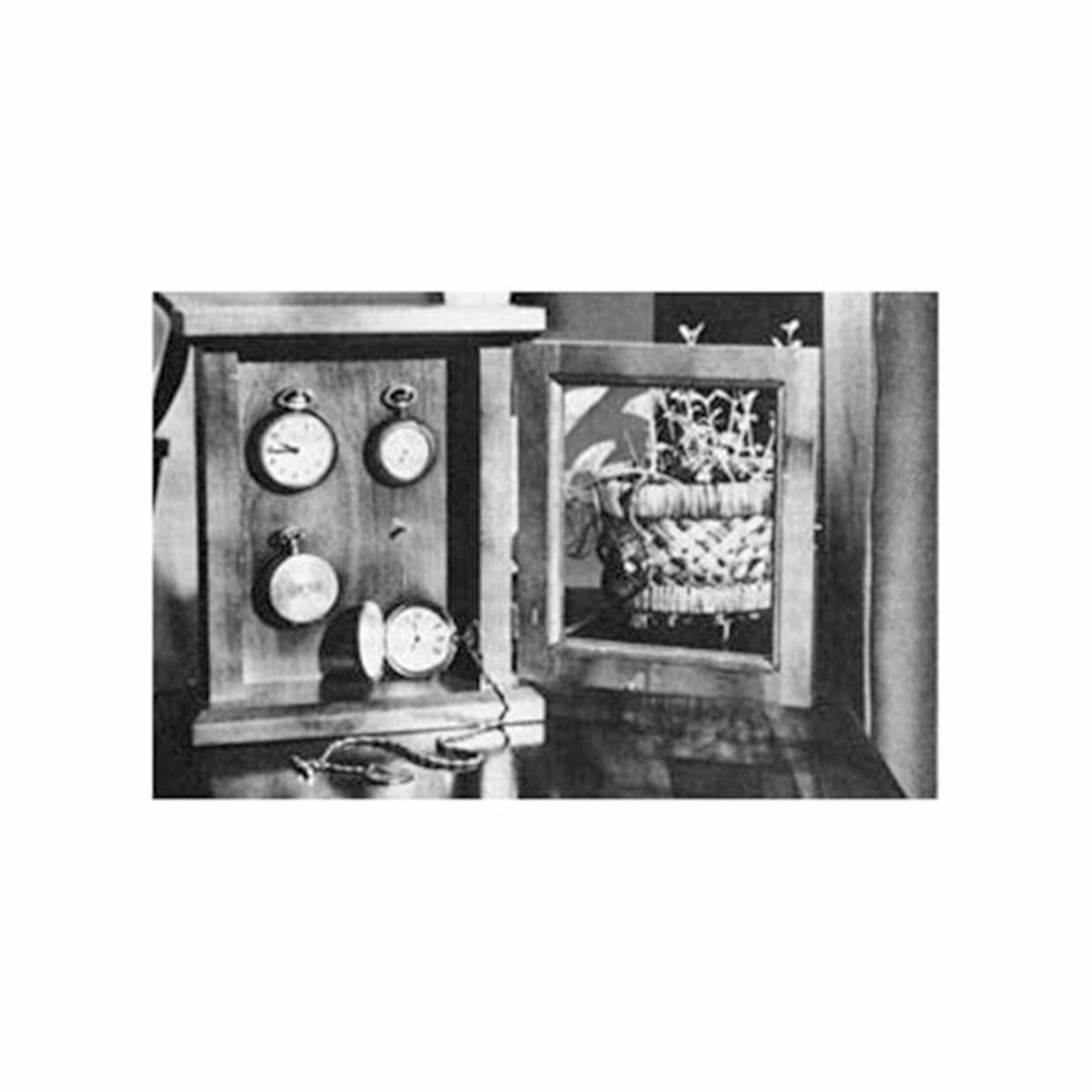 Woodworking Project Paper Plan to Build Watch Display Case