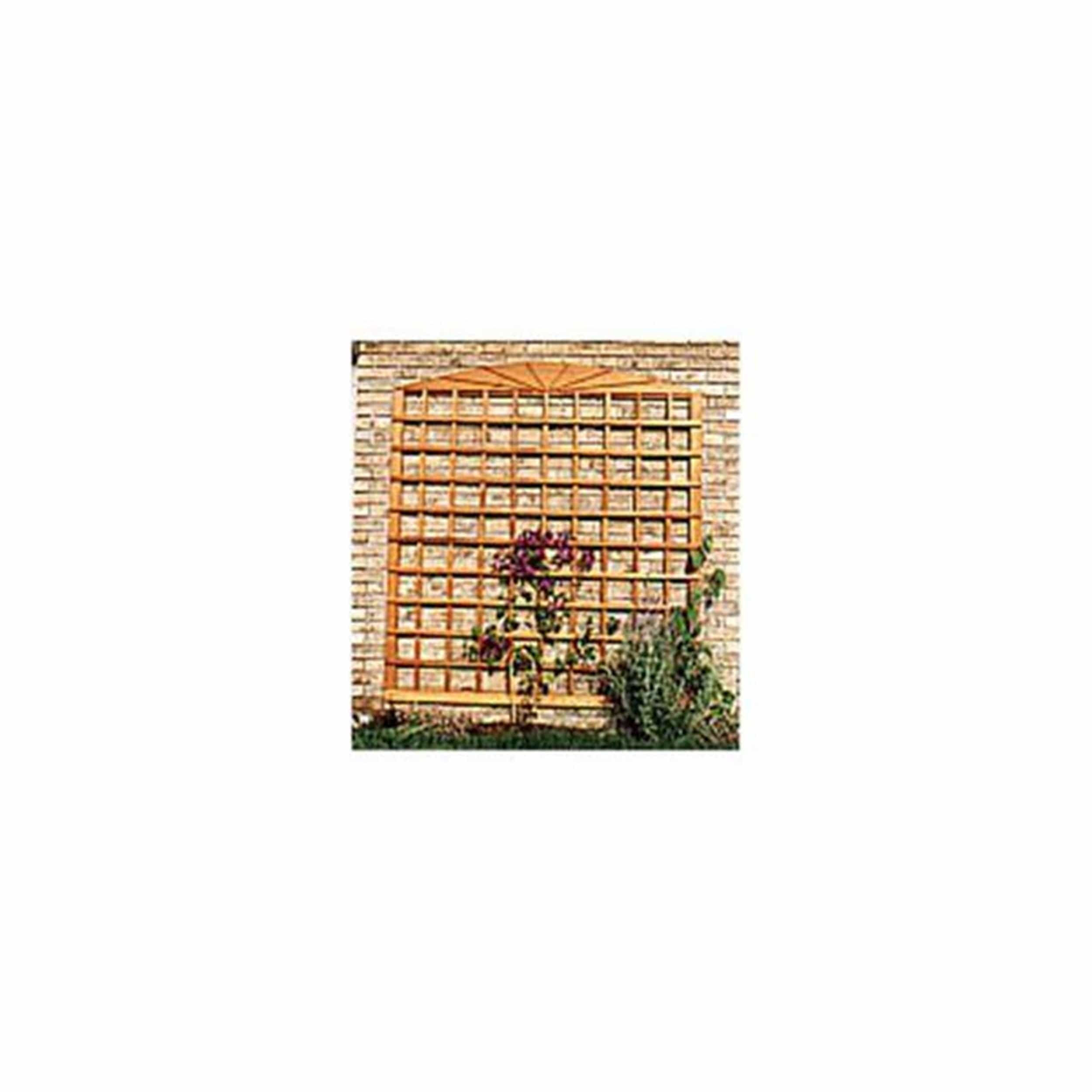 Woodworking Project Paper Plan to Build Wall Trellis