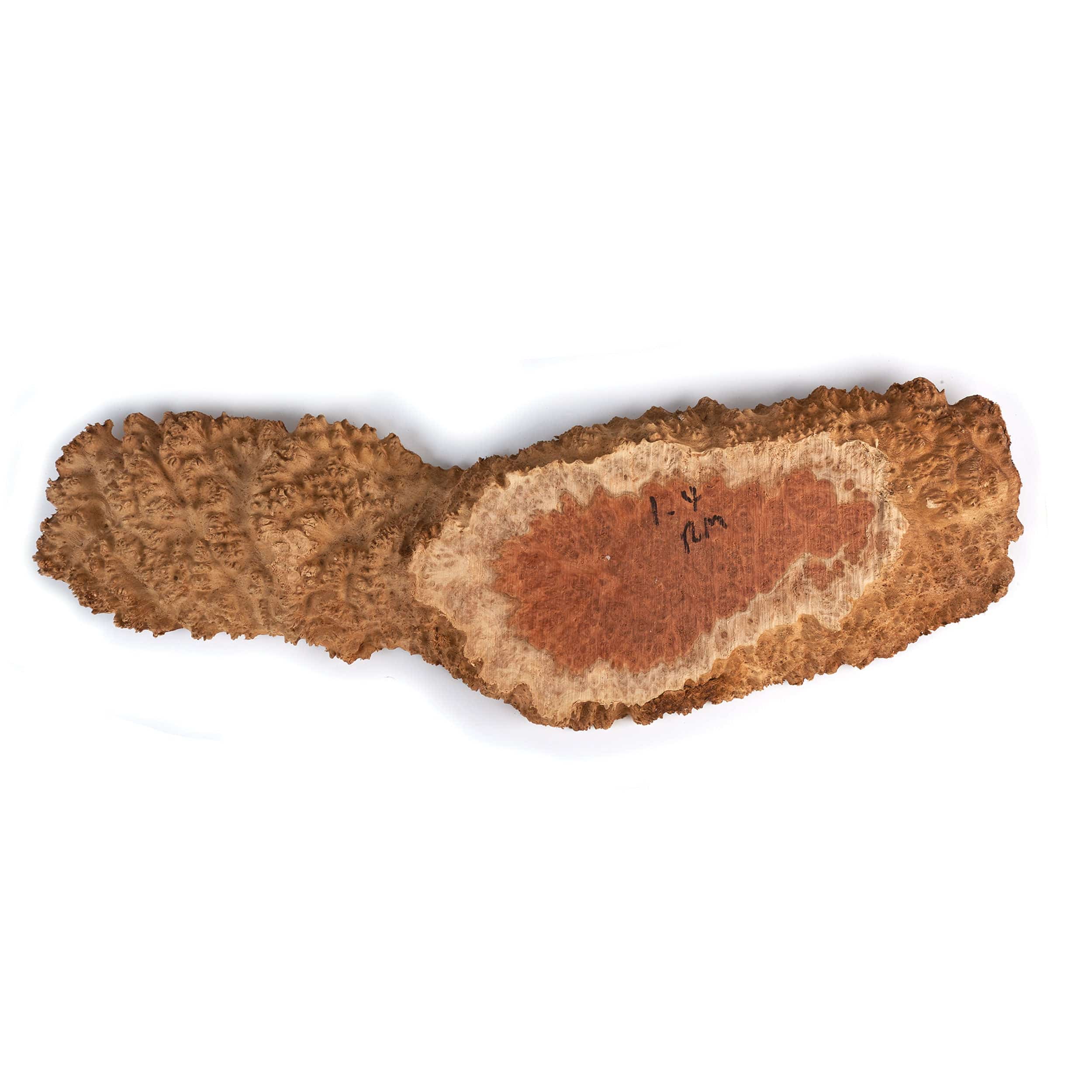Australian Red Mallee Burl Slice - 1 kg - 2 kg