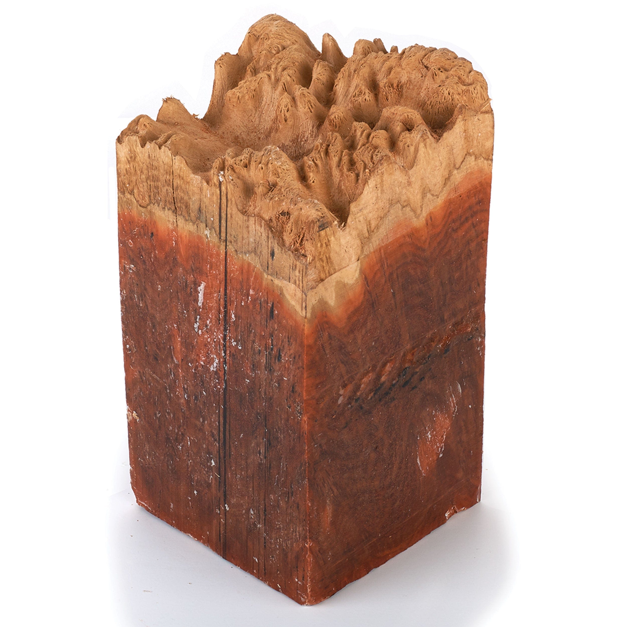 Australian Red Coolibah Burl Turning Blank - 2 kg - 4 kg