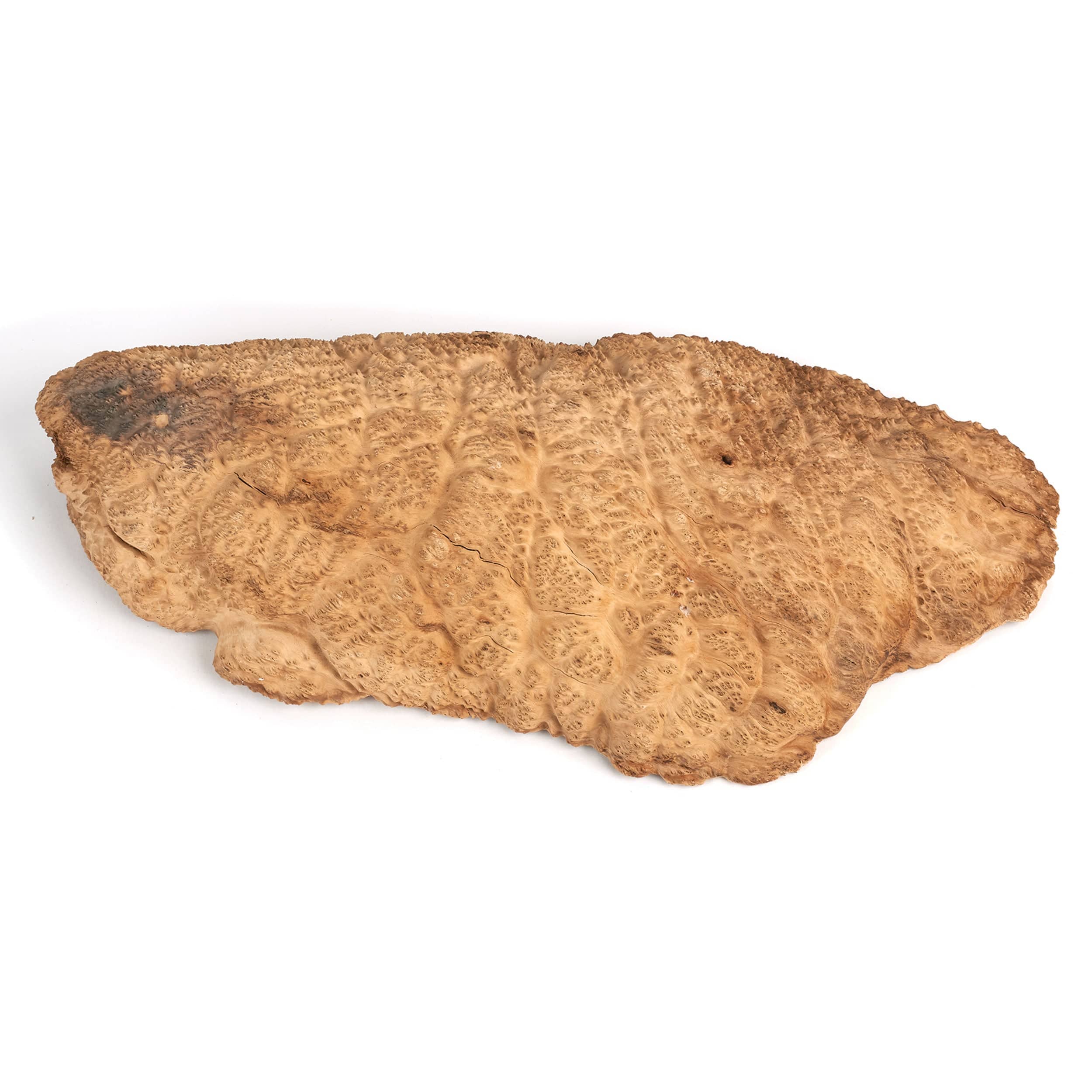Australian Brown Mallee Burl Cap - 2 kg - 4 kg