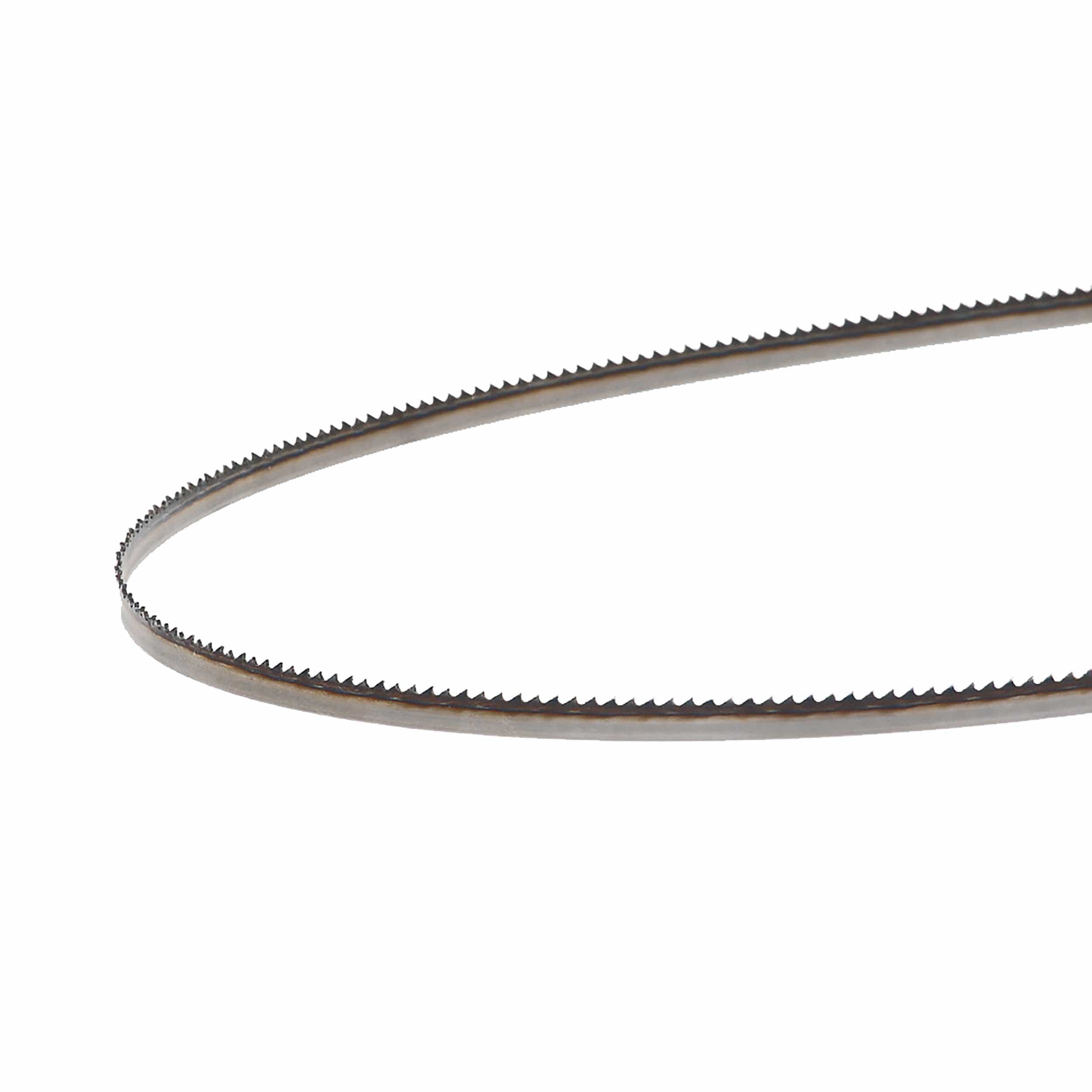 Bandsaw Blade - 162" x 1/4" x .025" x 10 TPI - Raker