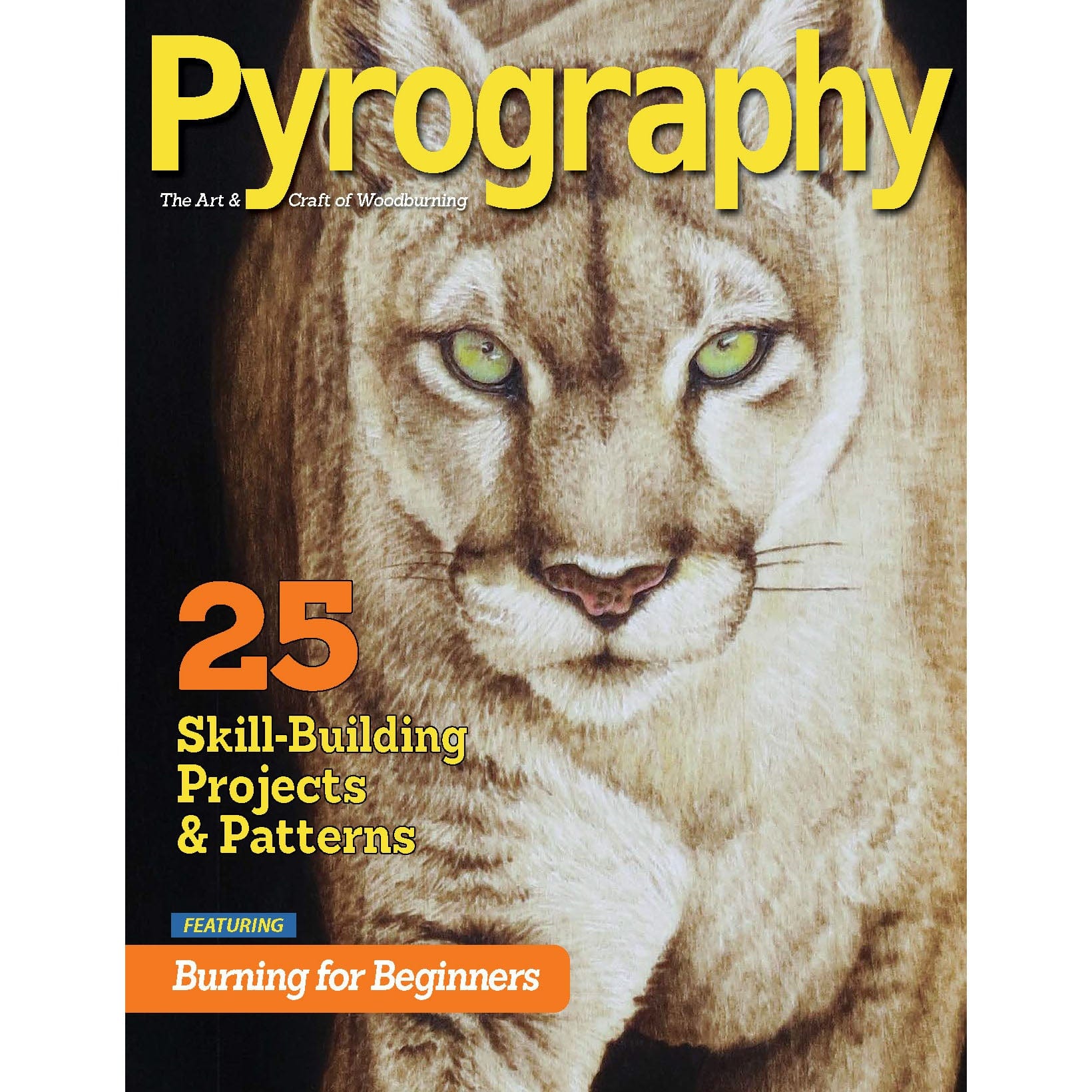 Pyrography Special Edition