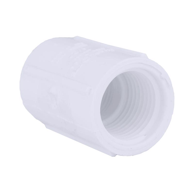 Charlotte Pipe PVC 02101 3600 Schedule 40 3/4 in. Slip X 1 in. D FPT PVC Pipe Adapter 1 pk