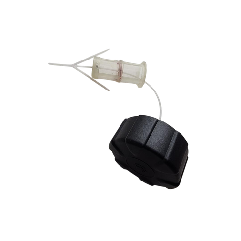 317134Gs CapFuel Briggs and Stratton Genuine OEM Part