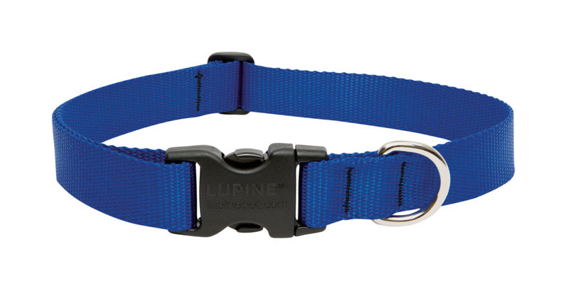 Lupinepet 17552 Basic Solids Blue Blue Nylon Dog Adjustable Collar