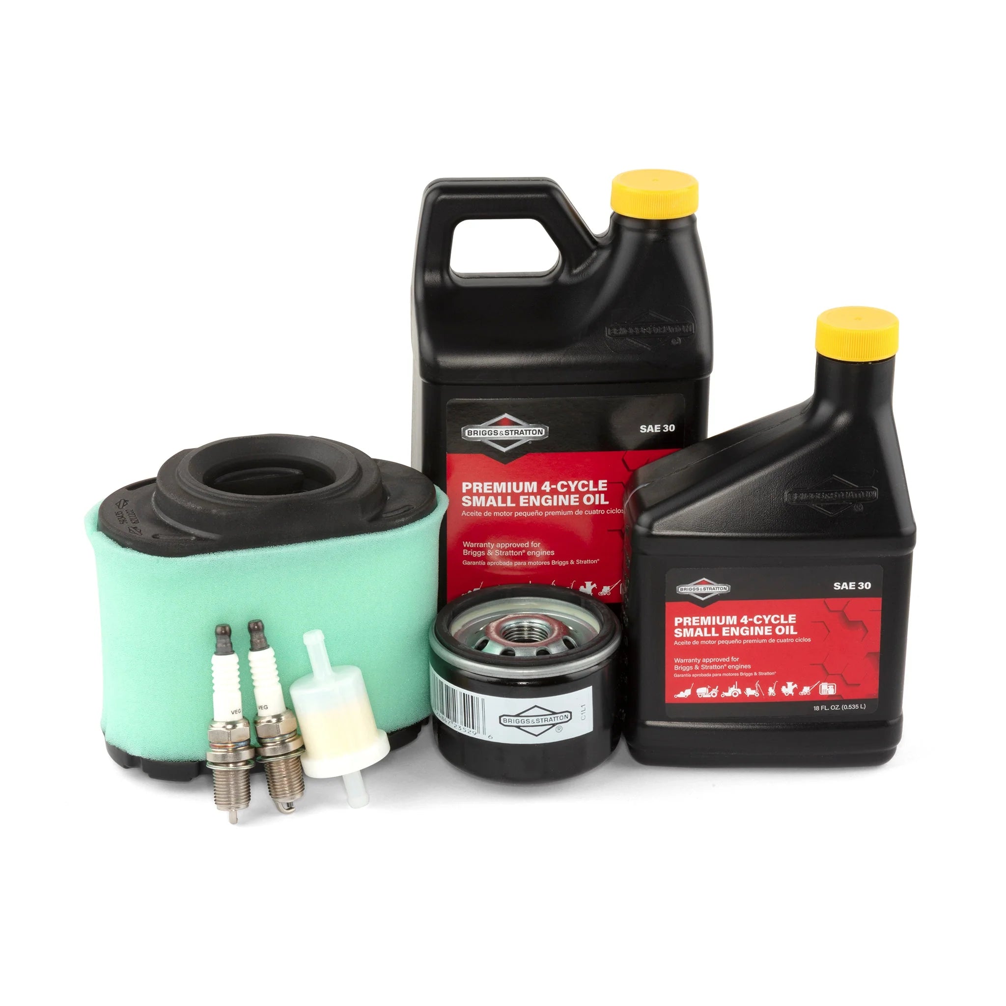 Briggs & Stratton 84002317 Intake Engine Maintenance Kit
