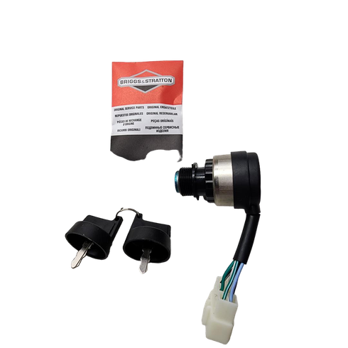 318307Gs SwitchKey Briggs and Stratton Genuine OEM Part