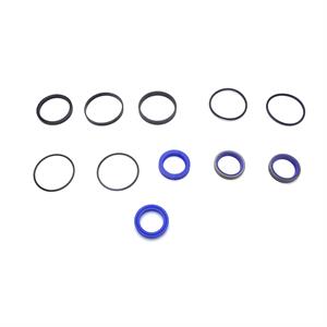 Case Steering Cylinder Seal Kit, G110045