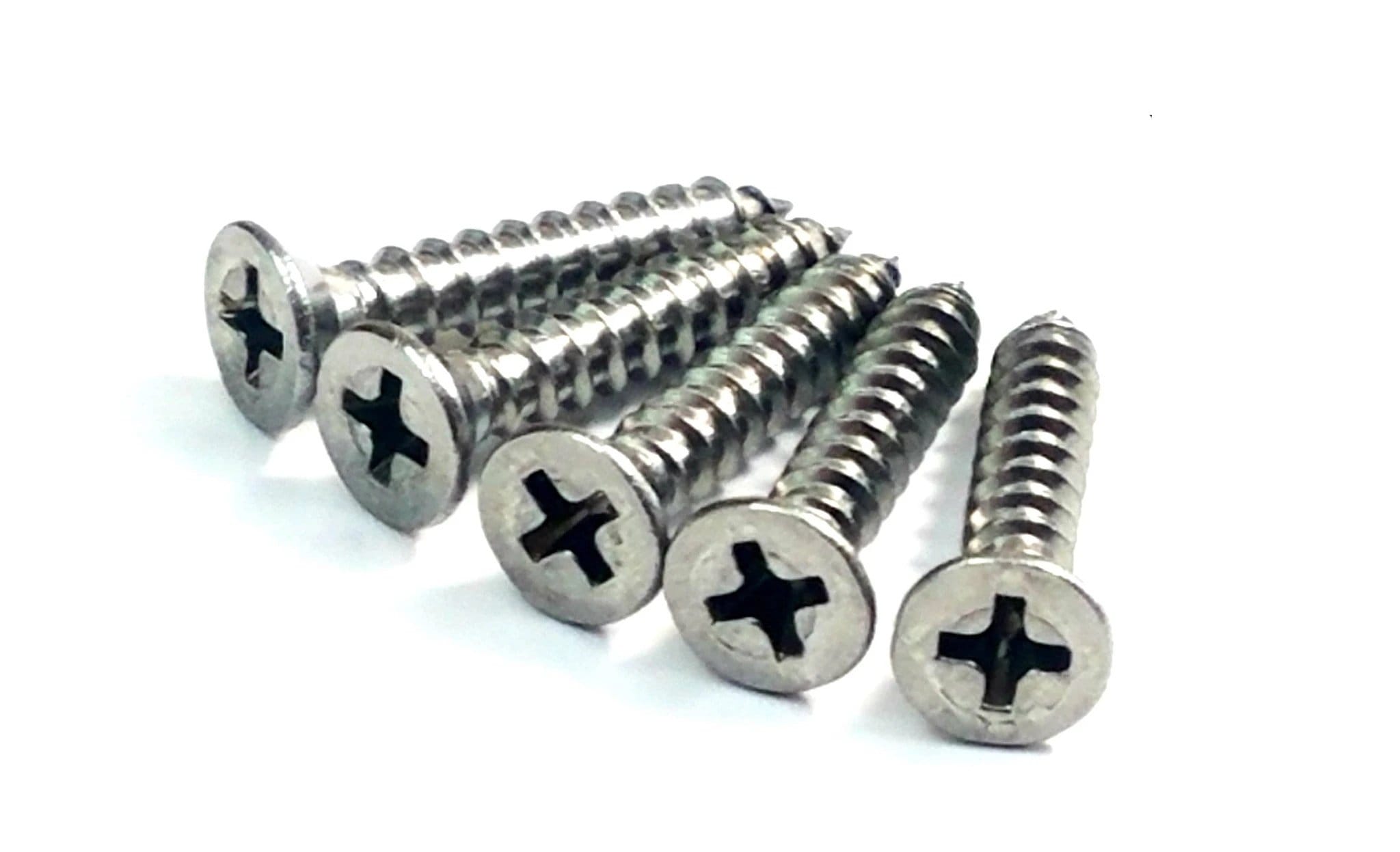 Door Hinge Wood Screws - Stainless Steel - #9 X 1" Inch