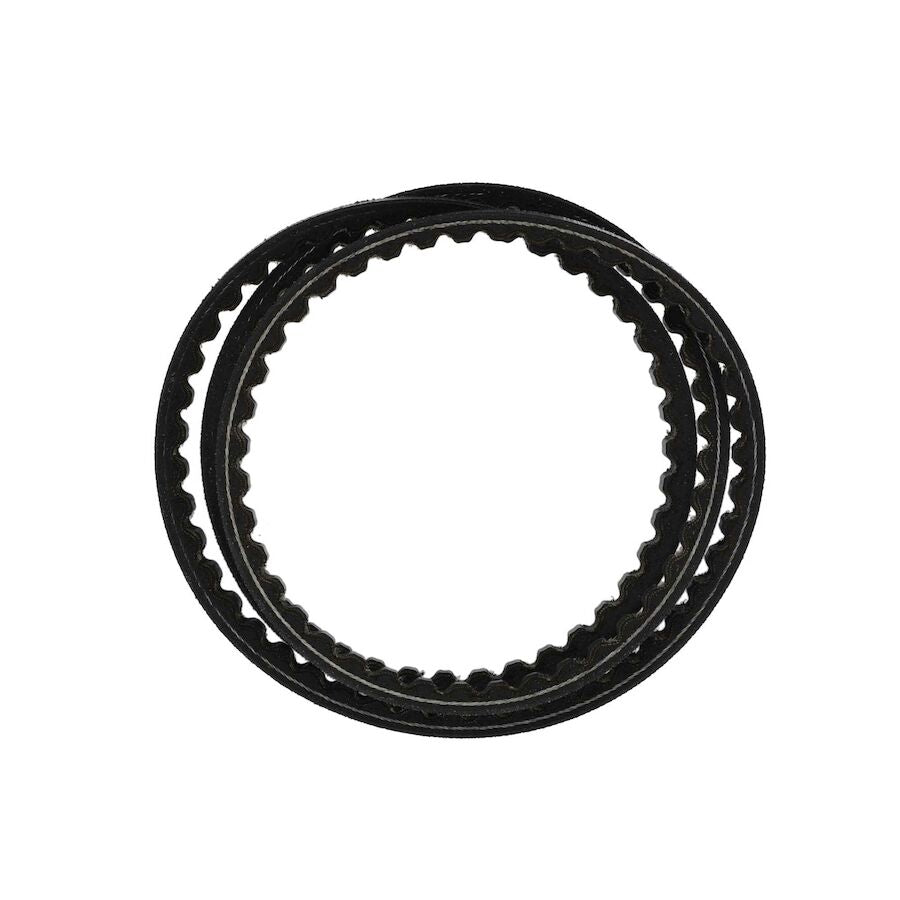Toro OEM 119-3309 Cogged Hydro Drive Belt Fits Select Timecutter ZS, Timecutter SS,Timecutter MX Models.