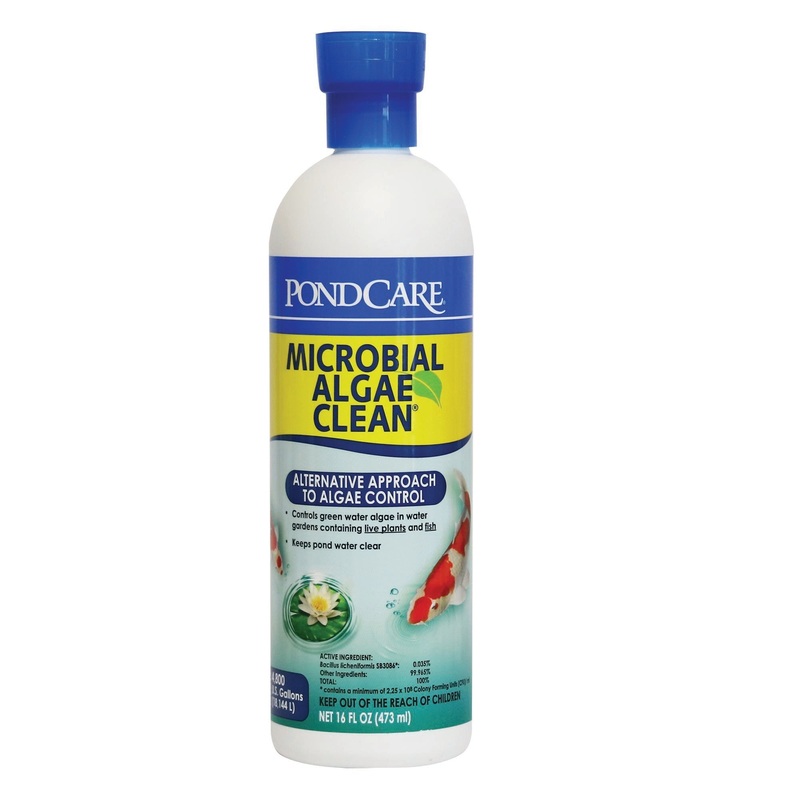 API MICROBIAL ALGAE CLEAN (16-oz)