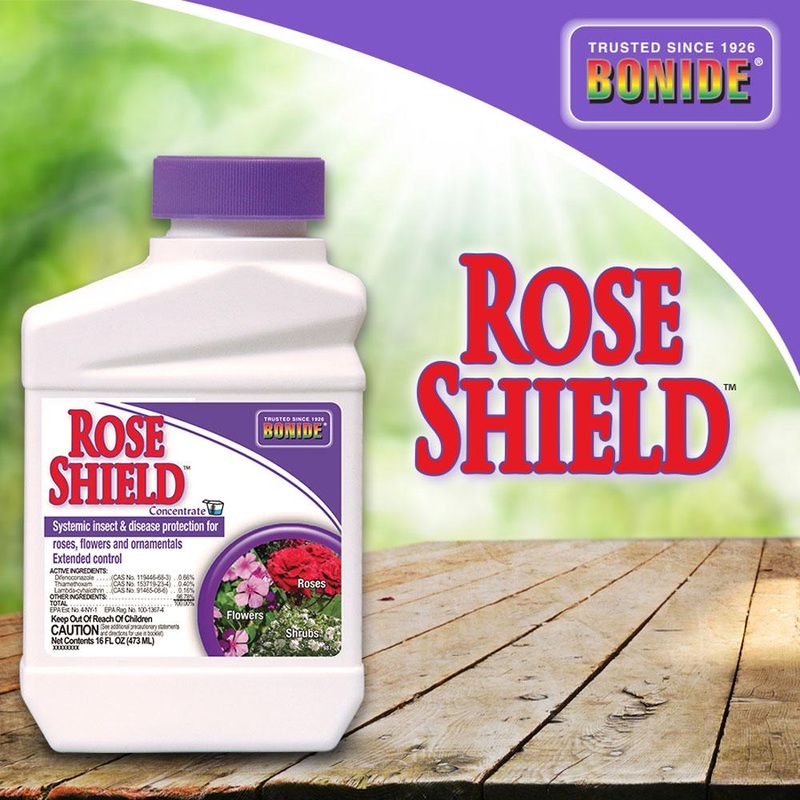 BONIDE Products LLC Rose Shield Conc