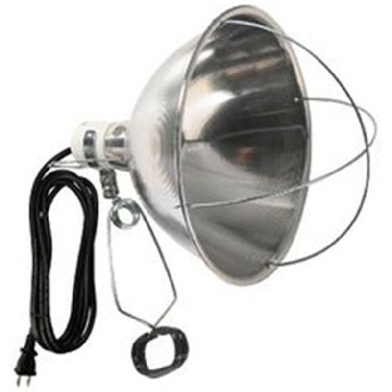 BROODER LIGHT 10 INCAND 8CORD 250 WATT