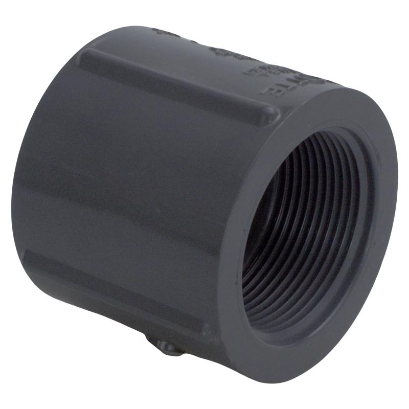 Charlotte Pipe PVC 08102 1800 Schedule 80 1-1/2 in. FPT X 1-1/2 in. D FPT PVC Coupling 1 pk