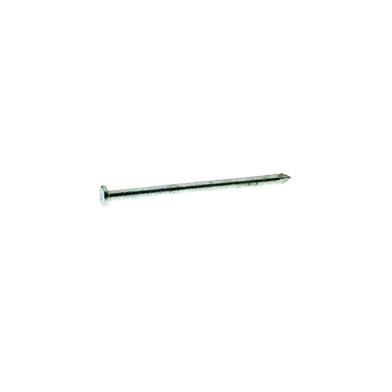 Grip-Rite 40HGC 40D 5 in. Common Hot-Dipped Galvanized Steel Nail Flat Head 50 lb
