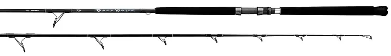 DARKWATER SALTWATER RODS