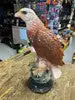 West View Park Chalkware Eagle Carnival Prize Pgh Pa Vtg Mid Modern Collectible!