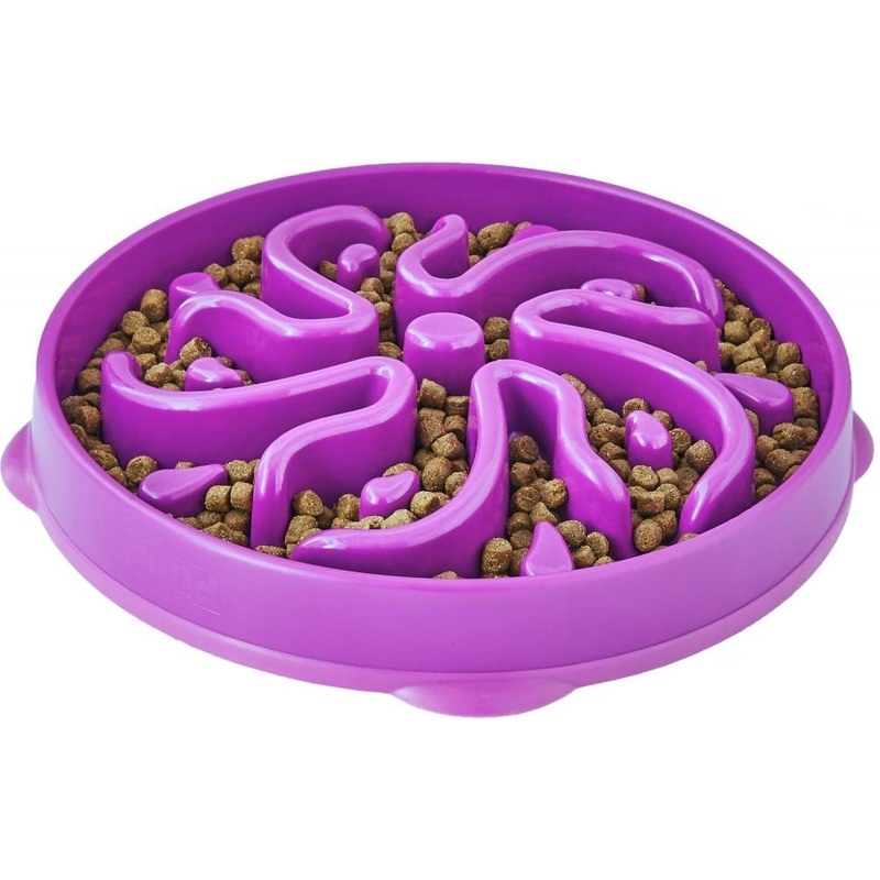 Outward Hound Dog Games Slo Bowl Slow Feeders Flower Design Dog Bowl (Teal)
