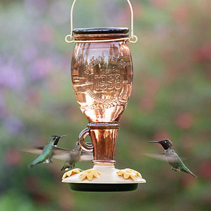 Perky-Pet Sugar Maple Top-Fill Glass Hummingbird Feeder - 24 oz Nectar Capacity