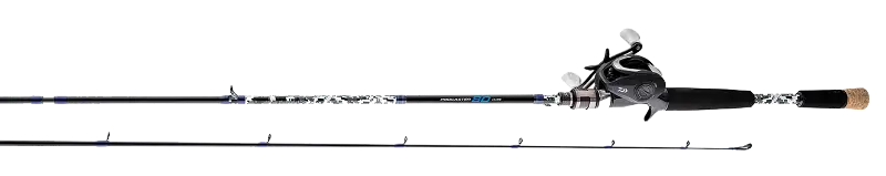 PROCASTER 80 SYSTEM