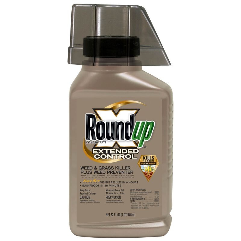 Roundup Extended Control Weed & Grass Killer Plus Weed Preventer II
