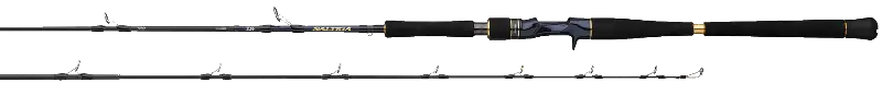 SALTIGA JIGGING RODS