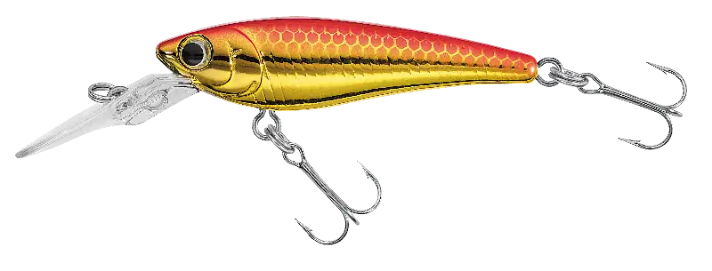SC SHAD