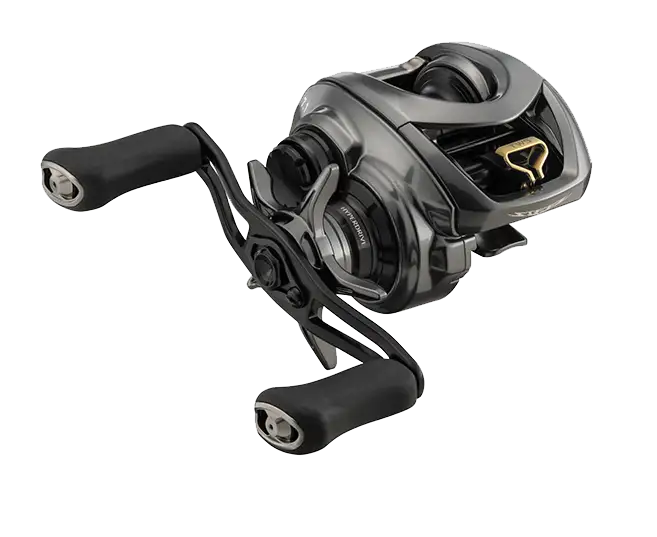 STEEZ CT SV TW 70