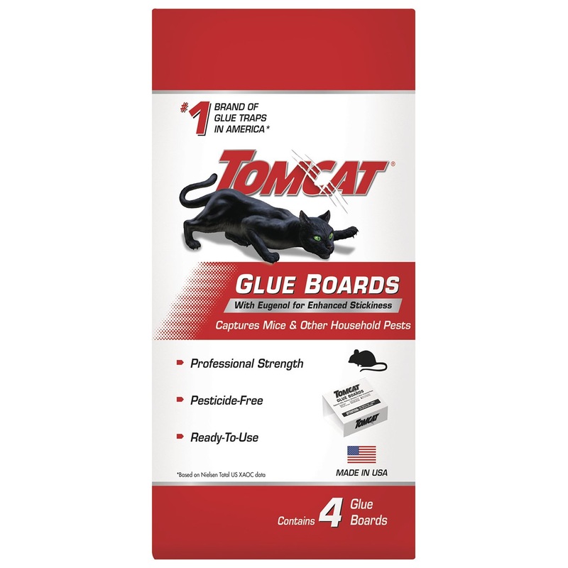 Tomcat Glue Traps