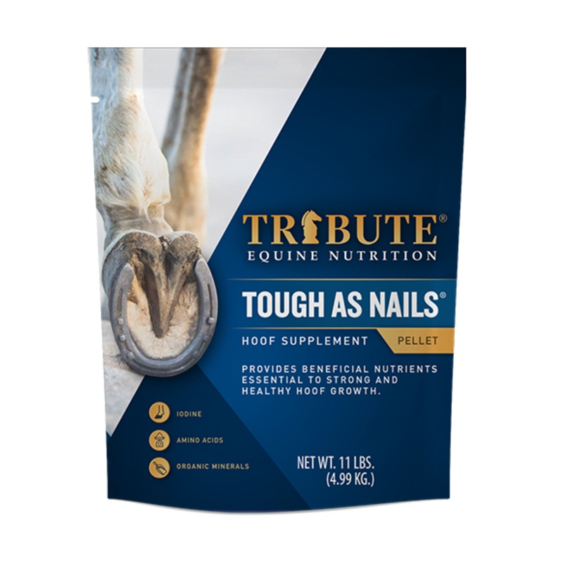 Tribute Tough As Nails